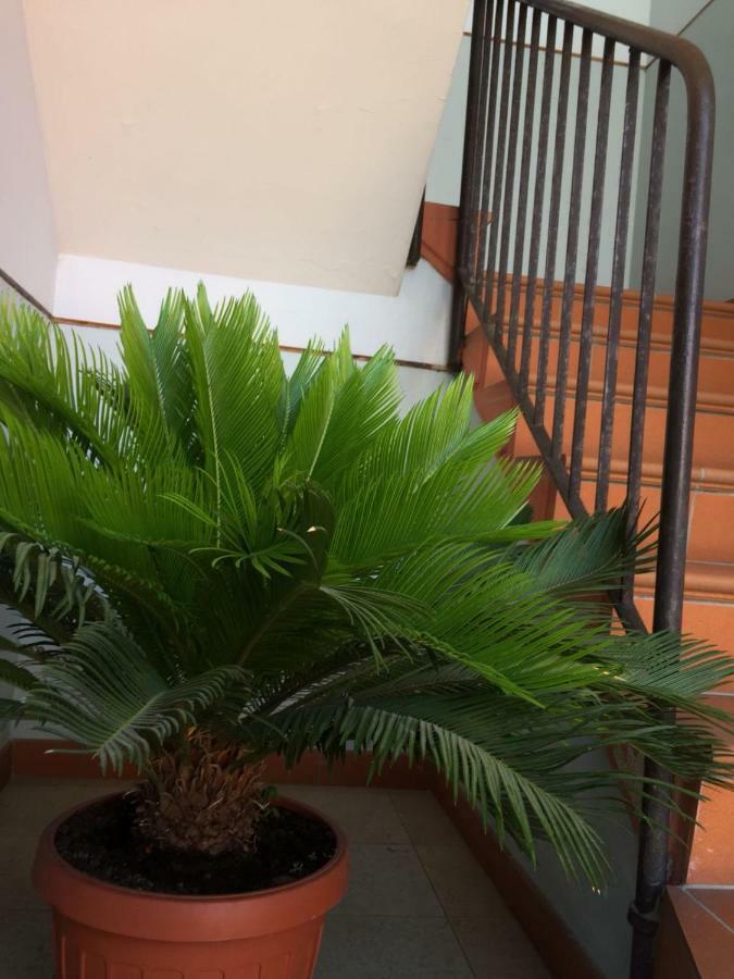 Apartament Casa Giuliano Pincara Zewnętrze zdjęcie